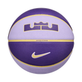 Nike Unisex All Court 2.0 8P L James